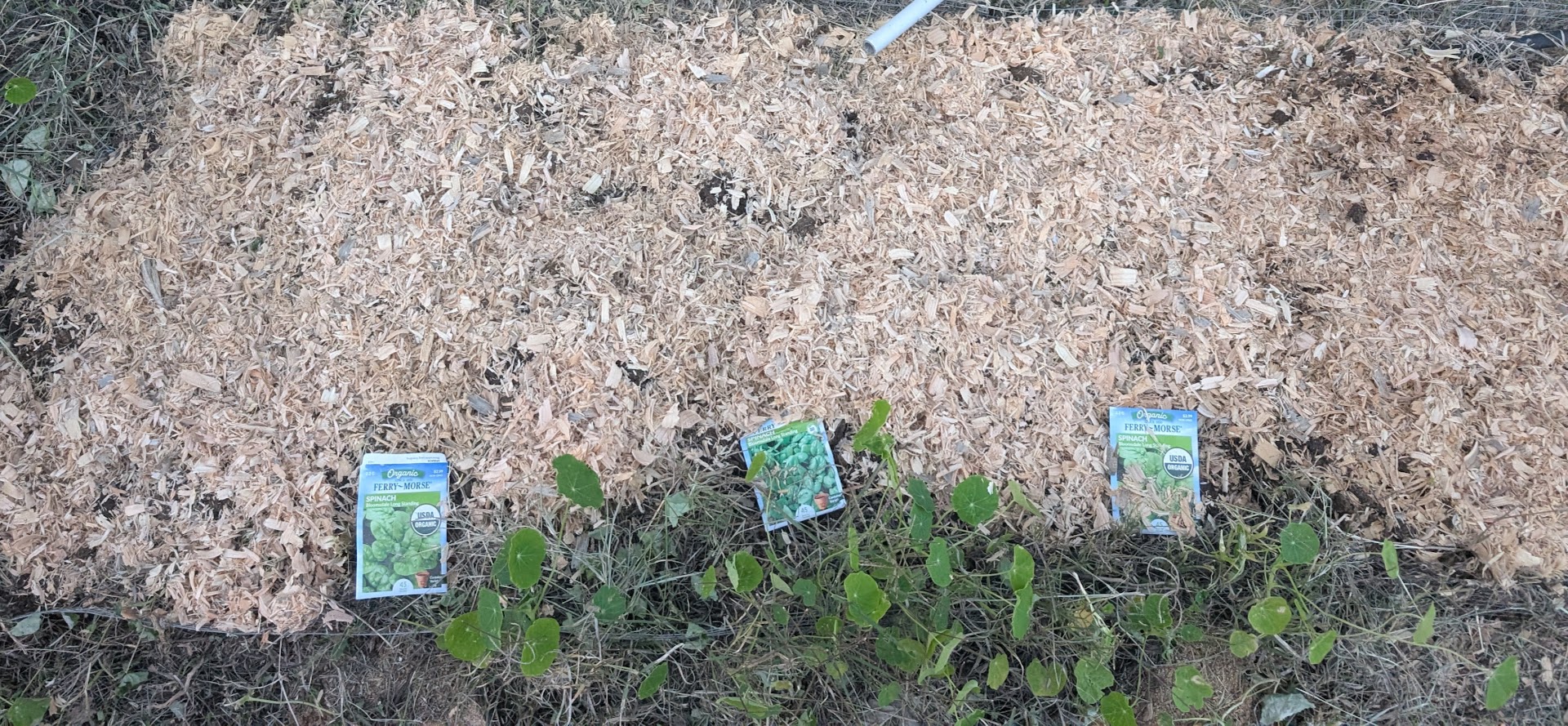 applied mulch after planting