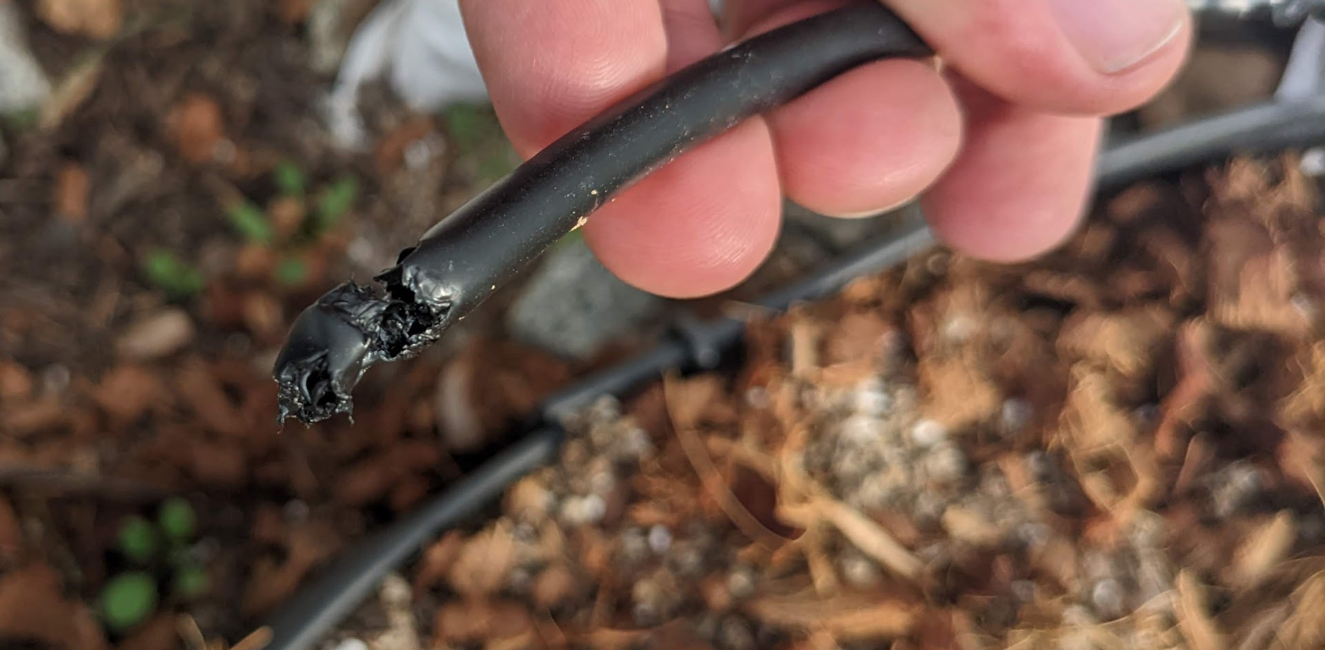 Inspecting and repairing drip irrigation system